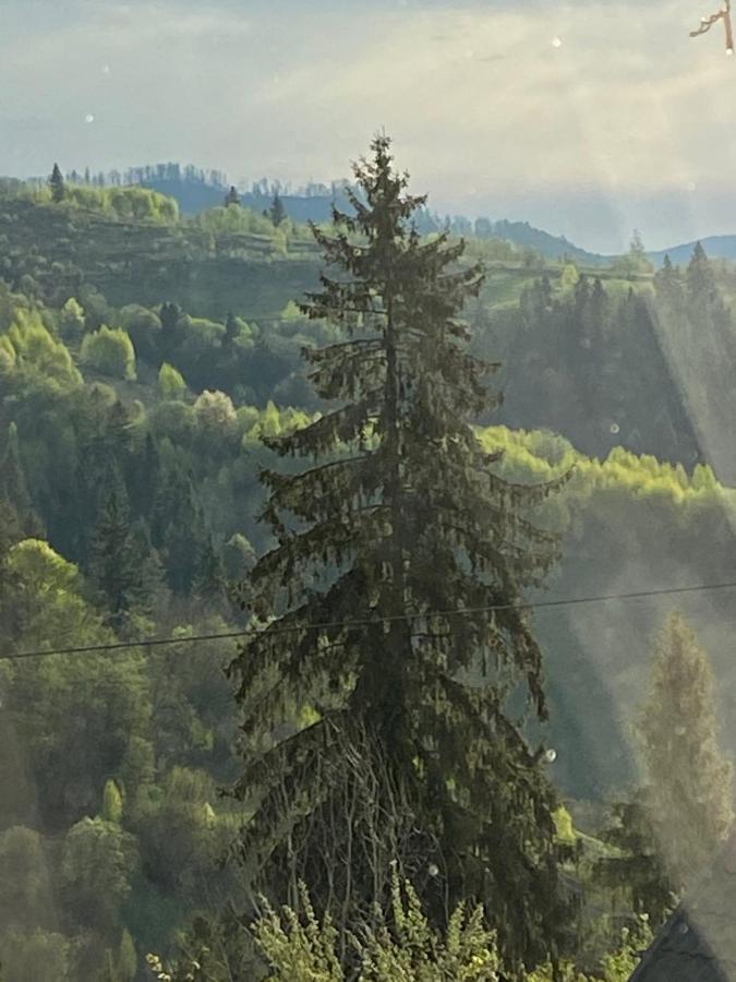 Шале Карпатська Казка Славське Екстер'єр фото